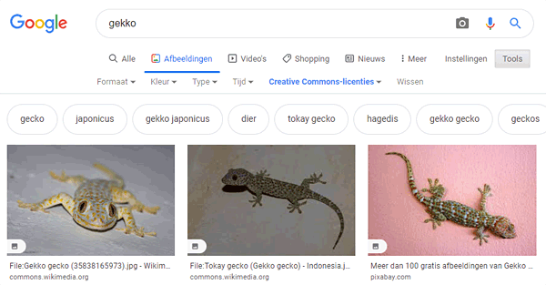 Auteursrechtenvrije foto's zoeken met Google