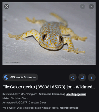 Auteursrechtenvrije foto's zoeken met Google