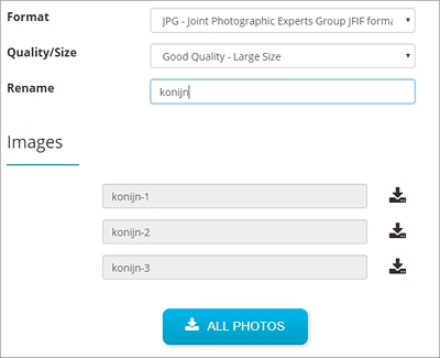 meerdere foto's hernoemen
