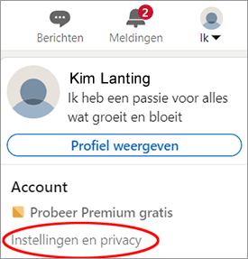 linkedin profiel weergeven