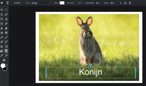 tekst in foto zetten met pixlr