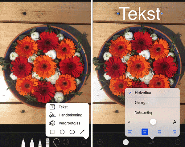 tekst in foto zetten