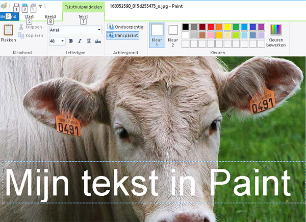 tekst in foto zetten met paint